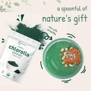 Micro Ingredients Organic Chlorella Powder, 20 Ounces | Broken Cell Wall Green Superfood Powder