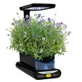 thumbnail image 2 of Miracle-Gro 800357-0208 Aerogarden Indoor Gardening Seed Pod Kit, 2 of 4