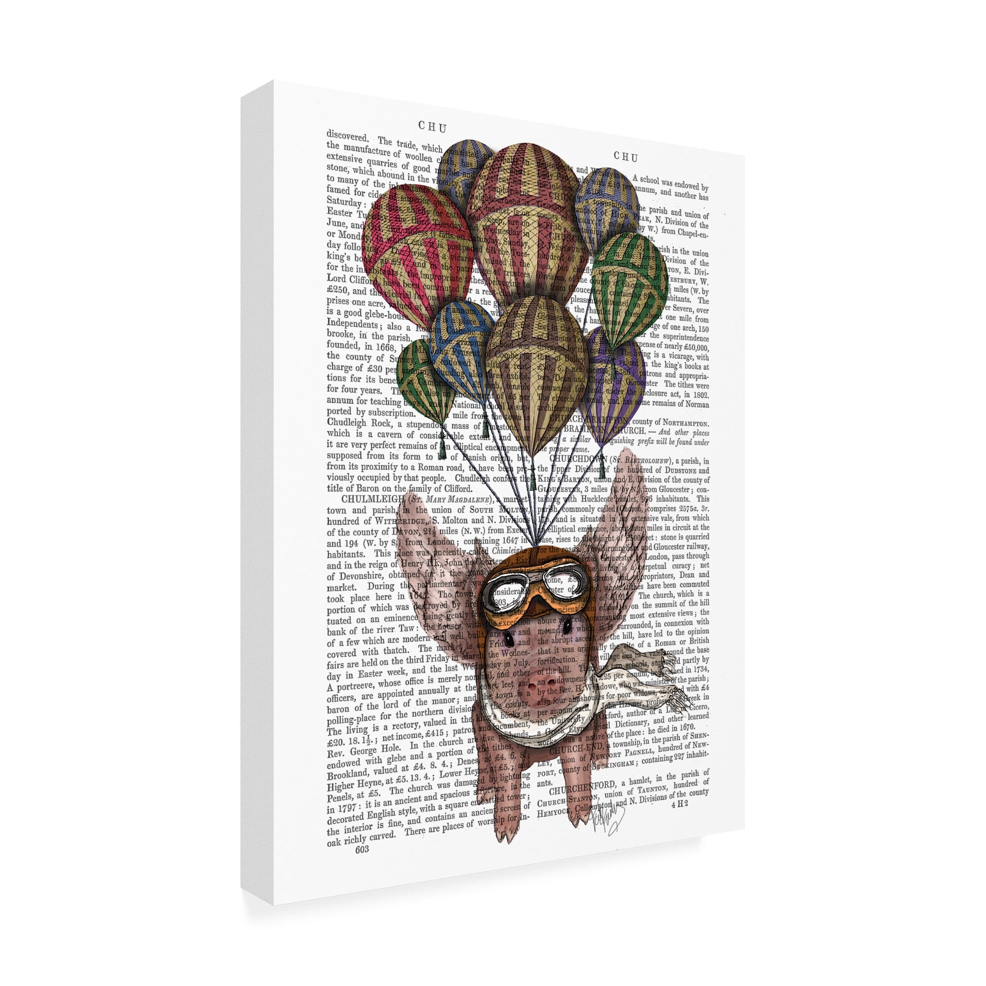 Trademark Fine Art 'Pig And Balloons' Canvas Art by Fab Funky