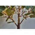 thumbnail image 2 of Hairui Lighted Eucalyptus Bonsai Tree 50 Fairy Lights with Timer Battery Operated or USB Plug in for Home Decor, 2 of 4