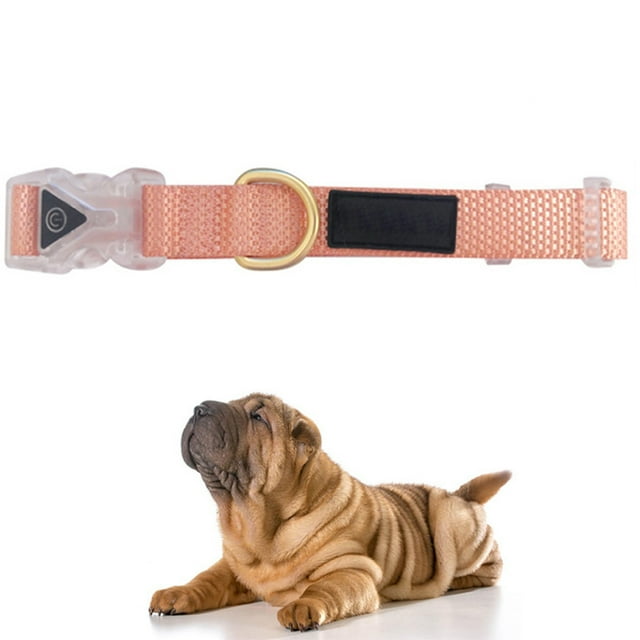 Collier pour Chien en Nylon à Boucle Lumineuse Réglable Collier pour Chiot Collier pour Animaux de Compagnie pour l'Entraînement