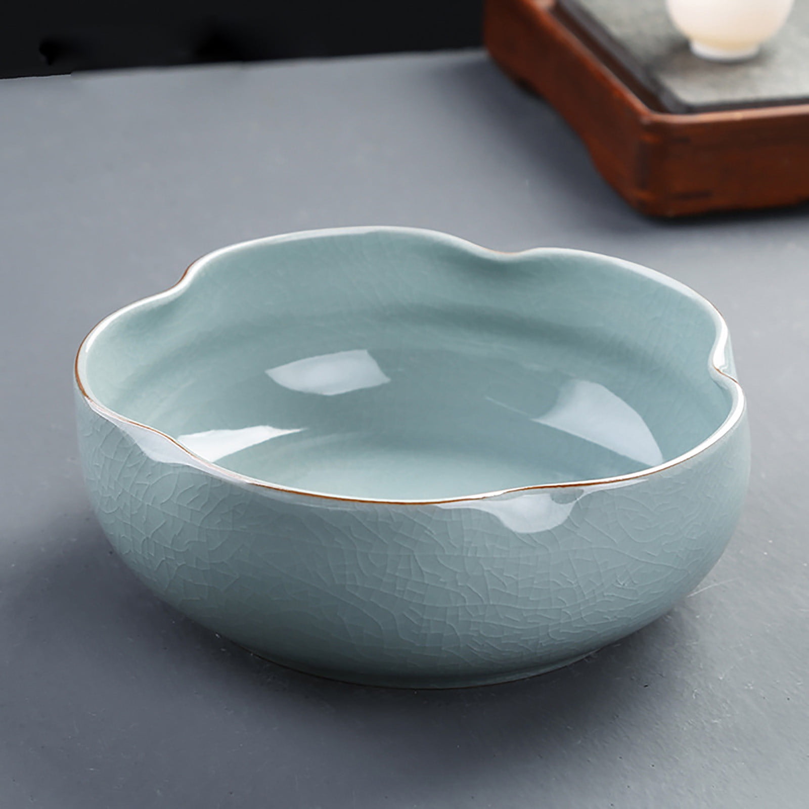 Ceramic Bowl Planter for Indoor Hydroponic Succulent Gardening Decorative Flower Pot