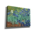 thumbnail image 2 of Epic Graffiti 'Irises' by Vincent van Gogh, Canvas Wall Art, 54"x40", 2 of 8