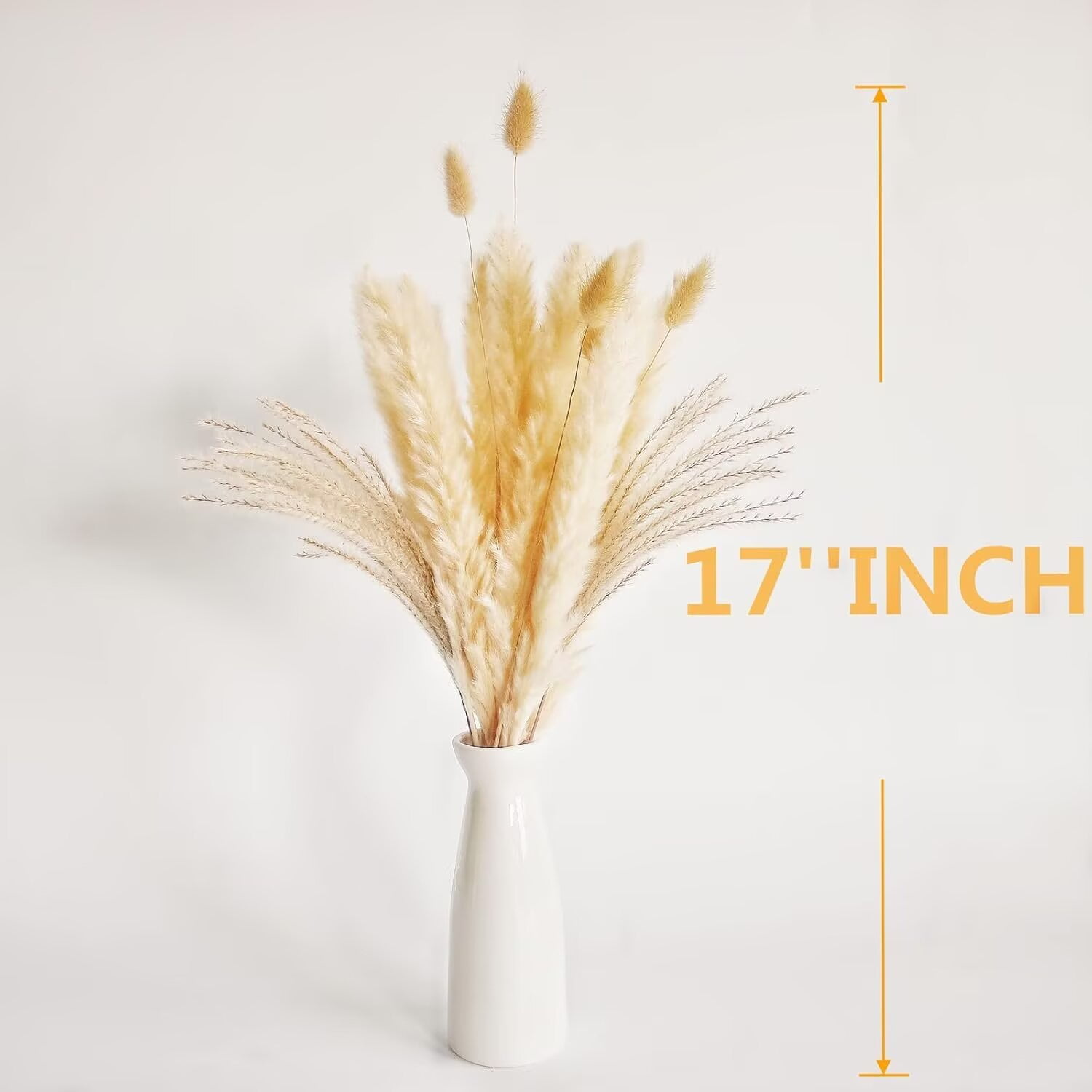 Pakyozj Natural Dried Pampas Grass Decor, Beige Pampas Grass, Bunny Tails Dried Flowers, Reed Grass Bouquet for Wedding Boho Flowers Home Table Decor, Rustic Farmhouse Party