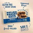 thumbnail image 5 of Nature's Bakery Gluten Free Fig Bar Blueberry -- 6 Packs, 5 of 5