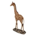 thumbnail image 6 of Nature Wildlife Realistic Safari Savannah Masai Giraffe Standing Figurine, 6 of 9