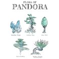 thumbnail image 2 of Boy's Avatar Flora of Pandora Sketches  Graphic Tee White Small, 2 of 4