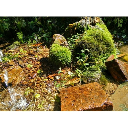 Acrylic Face Mounted Prints Rock Moss Creek Running Water Brick Woods Stone Print 14 x 11. Worry Free Wall Installation - Shadow Mount is Included.