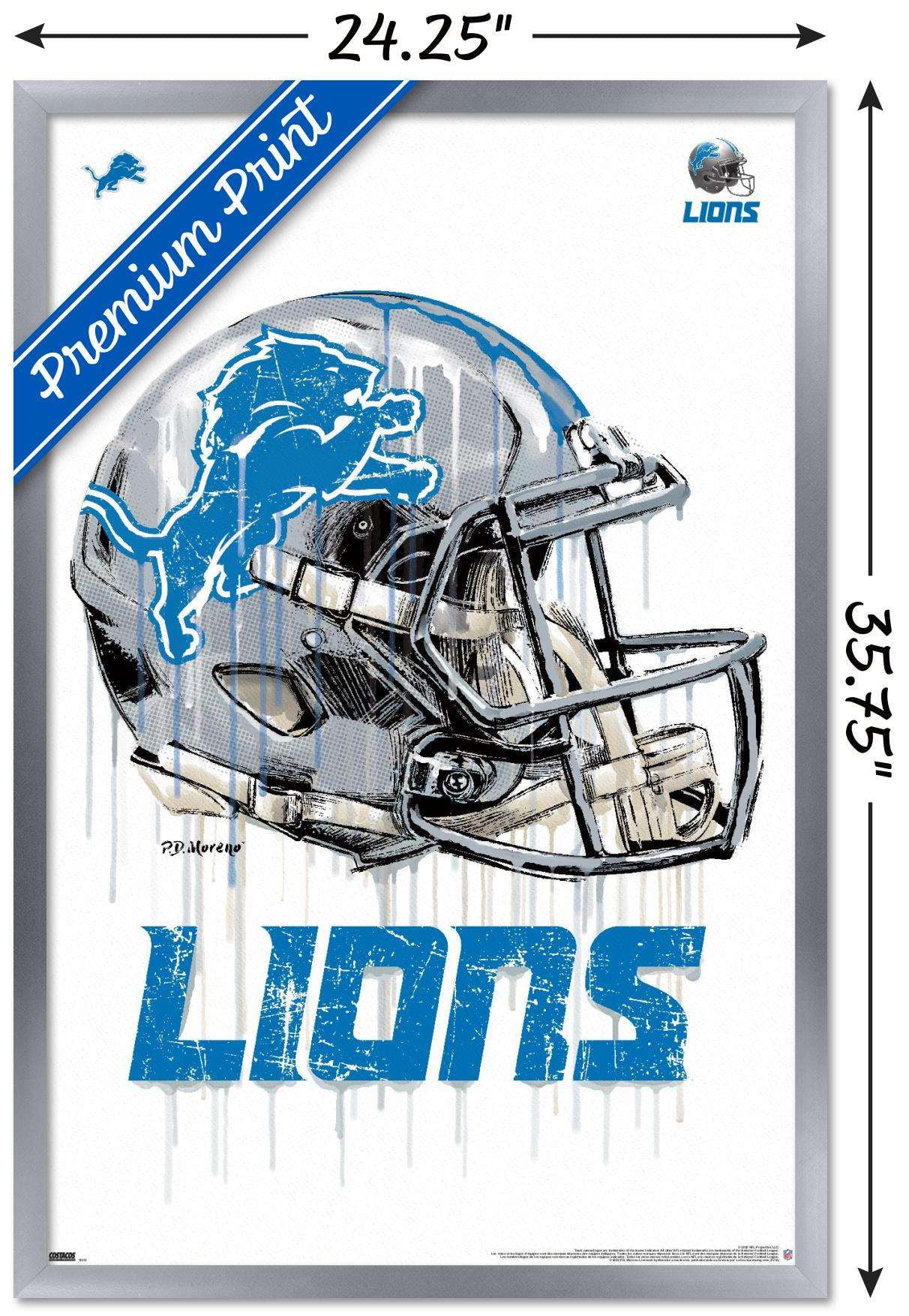 Detroit Lions NFL Helmet Vertical Flag