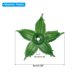 thumbnail image 2 of Uxcell Flores Artificiales Cáliz Hojas Falsas Sépalos Pétalo Hoja Verde a Granel para Ramo de Boda DIY Verde 300Paquete, 2 of 7