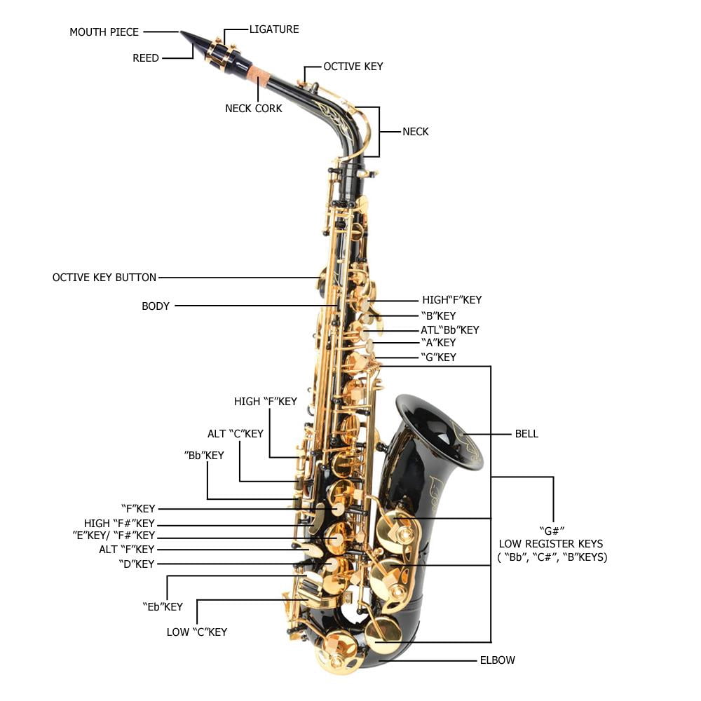 OverPatio Alto Be Saxophone Lacquer Beginners Kit, Black