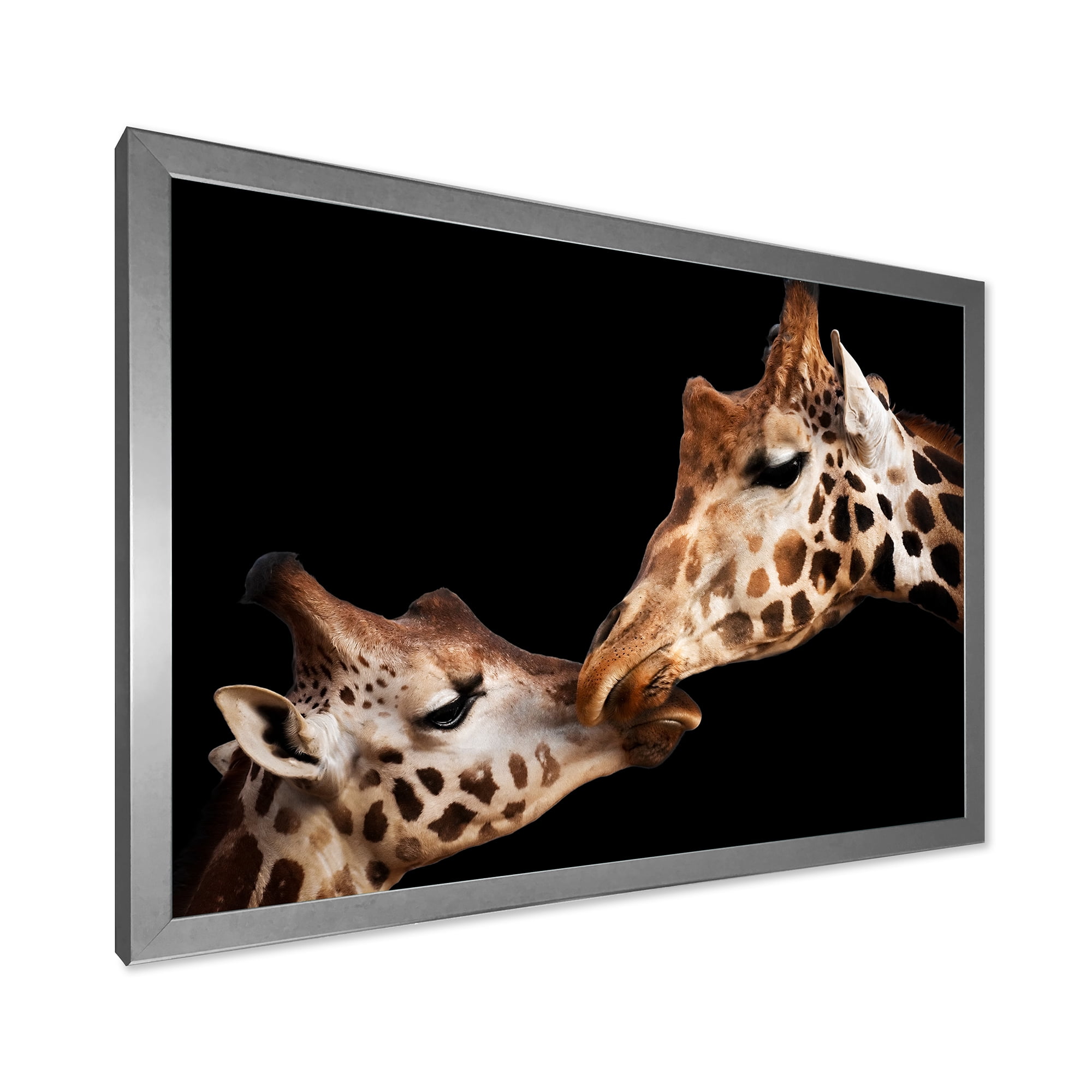 Designart 'Close UP Of Two Giraffes Kissing II' Farmhouse Framed Art Print