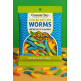 thumbnail image 3 of Coastal Bay Confections Sweet & Sour Gummy Sour Neon Worms Candy, 6 oz Bag, 3 of 5