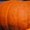 Black, variant on XQYLOS Girls Halloween Sweatpants - Pumpkin Ghos𝗍 Print 𝖣rawstring Baggy High Waisted Elastic Long Bottom for Kids 3-14Y