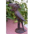 thumbnail image 2 of Unique Iron Parrot Bottle Opener, 2 of 2