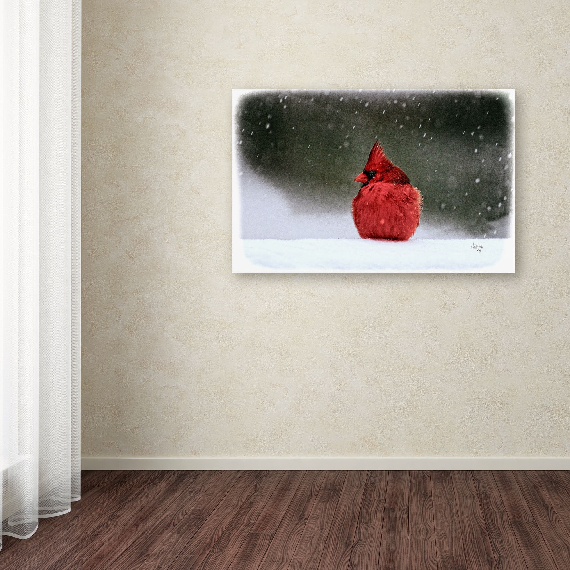 Trademark Fine Art "A Ruby in the Snow" Canvas Art by Lois Bryan