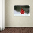 thumbnail image 4 of Trademark Fine Art "A Ruby in the Snow" Canvas Art by Lois Bryan, 4 of 4