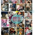 thumbnail image 6 of Newborn Infant Baby Girl Boy Cotton Booties Stay On Sock Slippers Soft Bedroom Shoes Non-Skid Ankle Boots With Grippers Toddler Crib Warm Shoe First Walker Birthday Shower Gift, 6 of 7