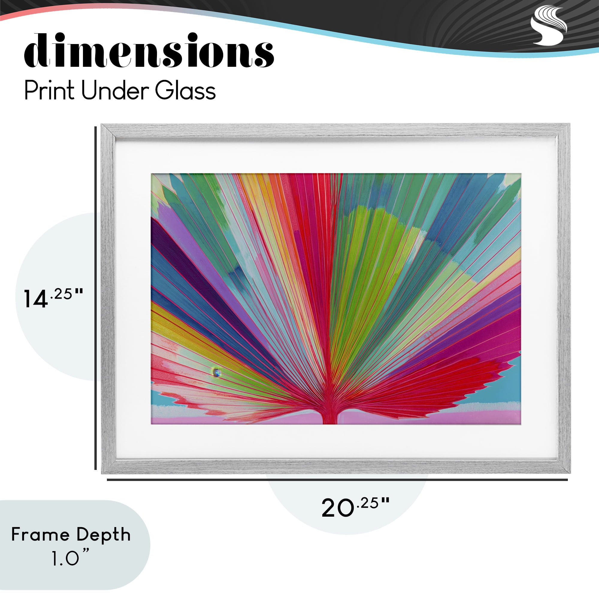 Stupell Industries Palm Fan In Spectrum Gray Framed Print Under Glass, design by Chromatic Storm Studio
