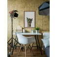thumbnail image 3 of Marmont Hill Geeky Llama Framed Wall Art, 3 of 6
