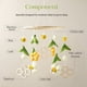 thumbnail image 5 of Cuna de Sonajero Cama Campana Juguetes Forma de Animales de Abeja Cuna ReciéN Nacido Sonajero MóVil Bolas de Lana Cuentas Campana de Cama para, 5 of 5