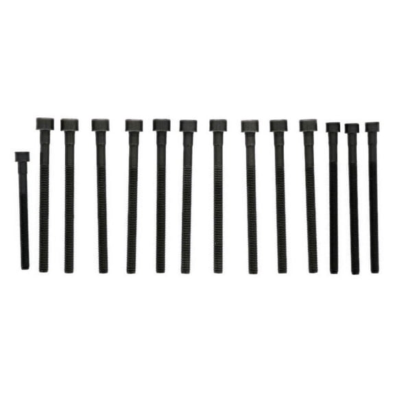 Head Bolt Set - Compatible with 2007 - 2008 BMW 328xi