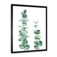thumbnail image 2 of Designart 'Green Eucalyptus Branch' Tropical Framed Art Print, 2 of 4