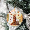 thumbnail image 3 of Welcome Fall Vizsla Enjoys School Time Autumn Fall Leaves Ceramic Round Ornament Vizslas Dog Lover Gifts Idea Home Tree Decor - 02013, 3 of 5