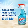 thumbnail image 3 of Windex Scented Glass Cleaner 16.9 Oz (500 Ml), 3 of 4
