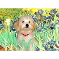 thumbnail image 2 of CafePress - Irises & Havanese Puppy Mug - 11 oz Ceramic Mug - Novelty Coffee Tea Cup, 2 of 3
