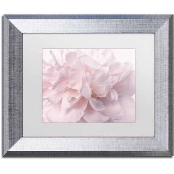 Trademark Fine Art 'Pink Peony Petals II' Canvas Art by Cora Niele, White Matte, Silver Frame