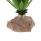 thumbnail image 3 of Planta Terrario Acuario Planta Acuática Complimentos Acuario QM-15 Zulema Planta de terrario de reptiles, 3 of 8
