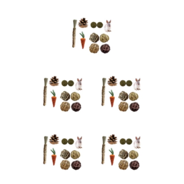 Billuyoard Juego de juguetes para masticar duraderos y elegantes para conejo Guinea Juguetes únicos para mascotas Juguetes para masticar animales Type2 NO2
