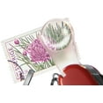 thumbnail image 5 of SwissChamp, Red Translucent, 5 of 6