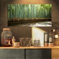 thumbnail image 1 of Beautiful View of Bamboo Forest - Forest Canvas Wall Art Print, 1 of 3