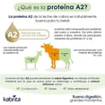 thumbnail image 5 of 2 Pack Fórmula de Continuación KABRITA para Niños Etapa 3, 5 of 5