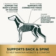 thumbnail image 5 of VetriScience Healthy Spine & Disc Bone Health Calcium Capsules for Dog, Unflavored 90 Count Bottle, 5 of 11