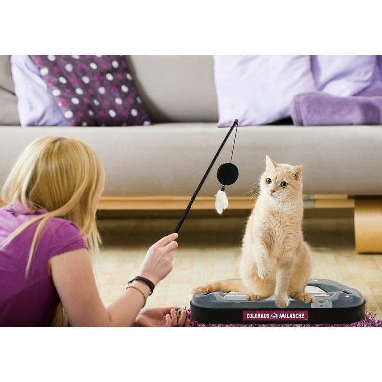 Pets First Colorado Avalanche CAT Scratcher Toy - Walmart.com