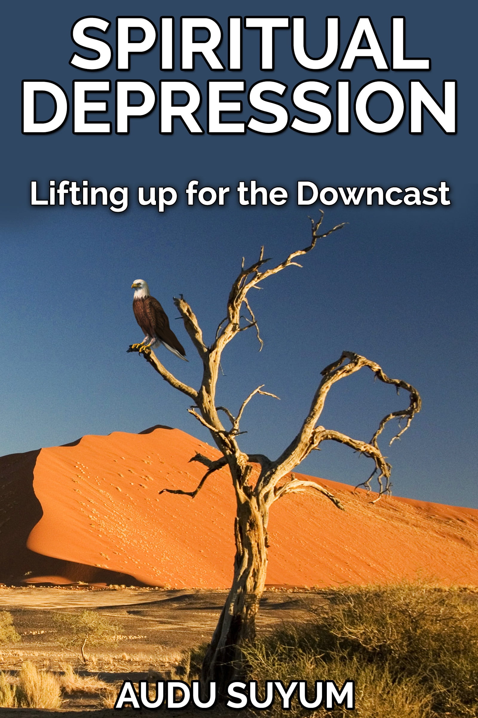 a lifting up for the downcast a lifting up for the downcast