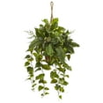 thumbnail image 6 of Nearly Natural Mixed Pothos and Boston Artificial Fern in Hanging Basket, 6 of 6