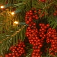 thumbnail image 3 of National Tree Company Pre-Lit Artificial Christmas Wreath, Green, Valley Pine, White Lights, Decorated with Berry Clusters, Christmas Collection, 24 Inches, 3 of 5