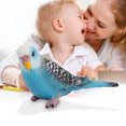 thumbnail image 6 of Fake Parakeet Artificial Birds 2Pcs Realistic Plastic Bird Figurines Garden Home Decor Ornaments, 6 of 7