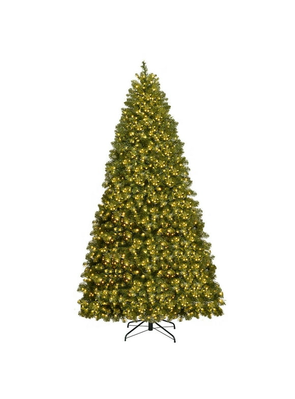 8 Foot Christmas Trees