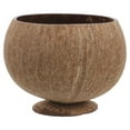 thumbnail image 1 of Coconuts Shell Bowl Food Serving Bowl Small Coconuts Bowl Snack Storage Bowl, 1 of 9