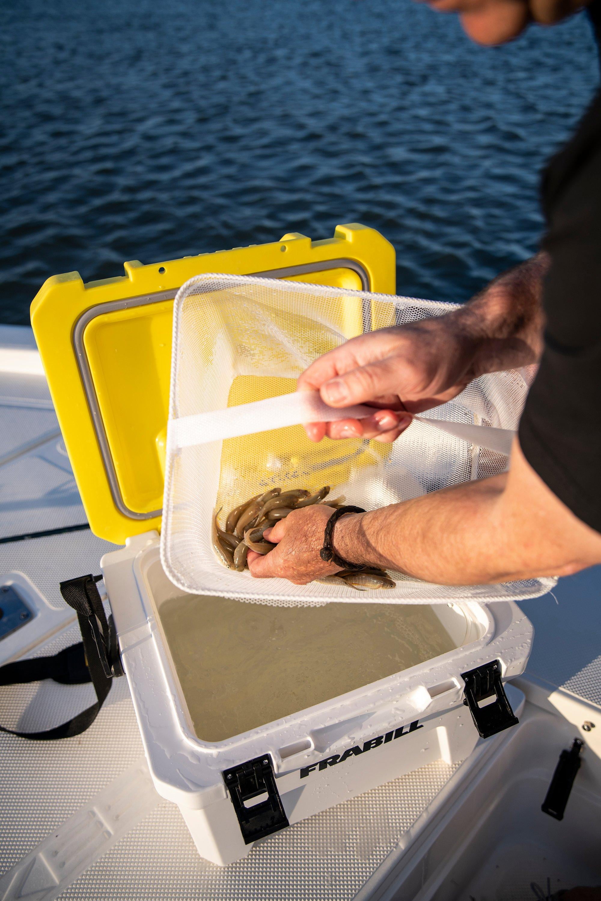 Frabill Magnum Bait Station 19 Quart, FRBBA219