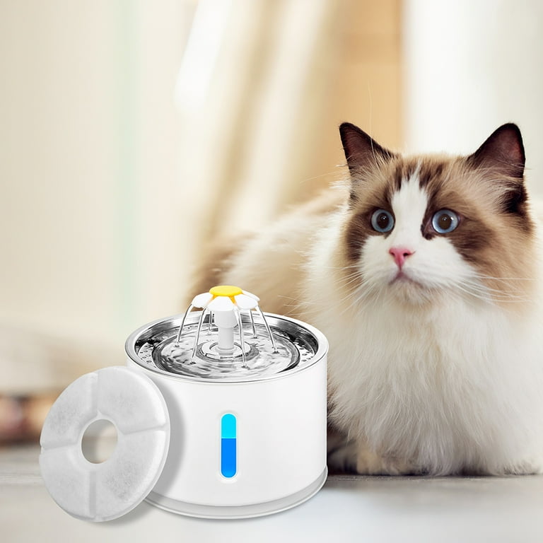 Drinking Water Walmart Water Dispenser Canada Flower Fountain Cat