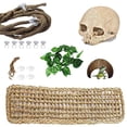 thumbnail image 1 of Accesorios para Terrario PINVNBY Dragón Barbudo con Calavera Humana de Resina, 1 of 7