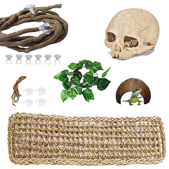 Accesorios para Terrario PINVNBY Dragón Barbudo con Calavera Humana de Resina