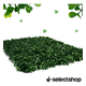 thumbnail image 3 of Muro Verde Follaje Artificial Sintético Pared 60x40cm 5 Pzs Xtellar Verde, 3 of 4