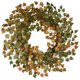 thumbnail image 1 of Corona de hiedra verde cosecha de 24 " National Tree Company RAHV-W1627Q-1, 1 of 1